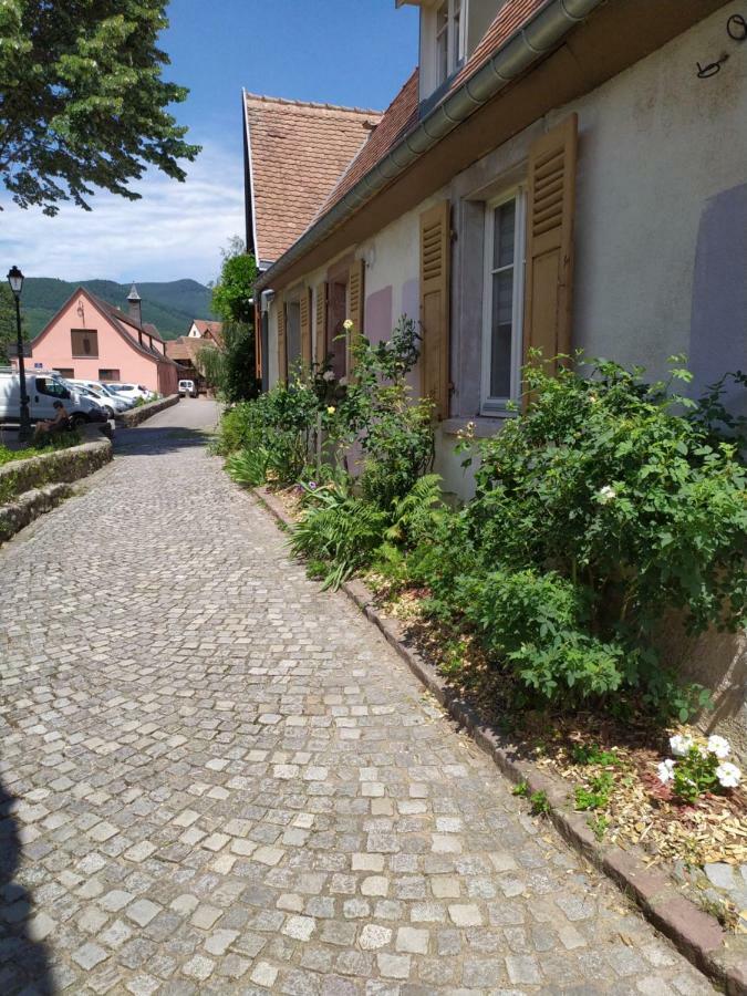 La Grande Terrine - Gites Les Potiers Kaysersberg-Vignoble Exterior photo